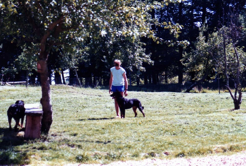 Chloée du Domaine des Picverts